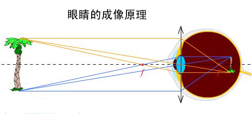 十五、光学成像原理·(三)凸透镜物体成像 科学小舟新科学插图